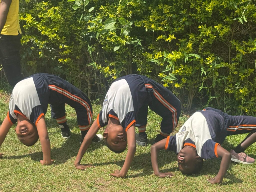 Outdoor Stretch and Movement