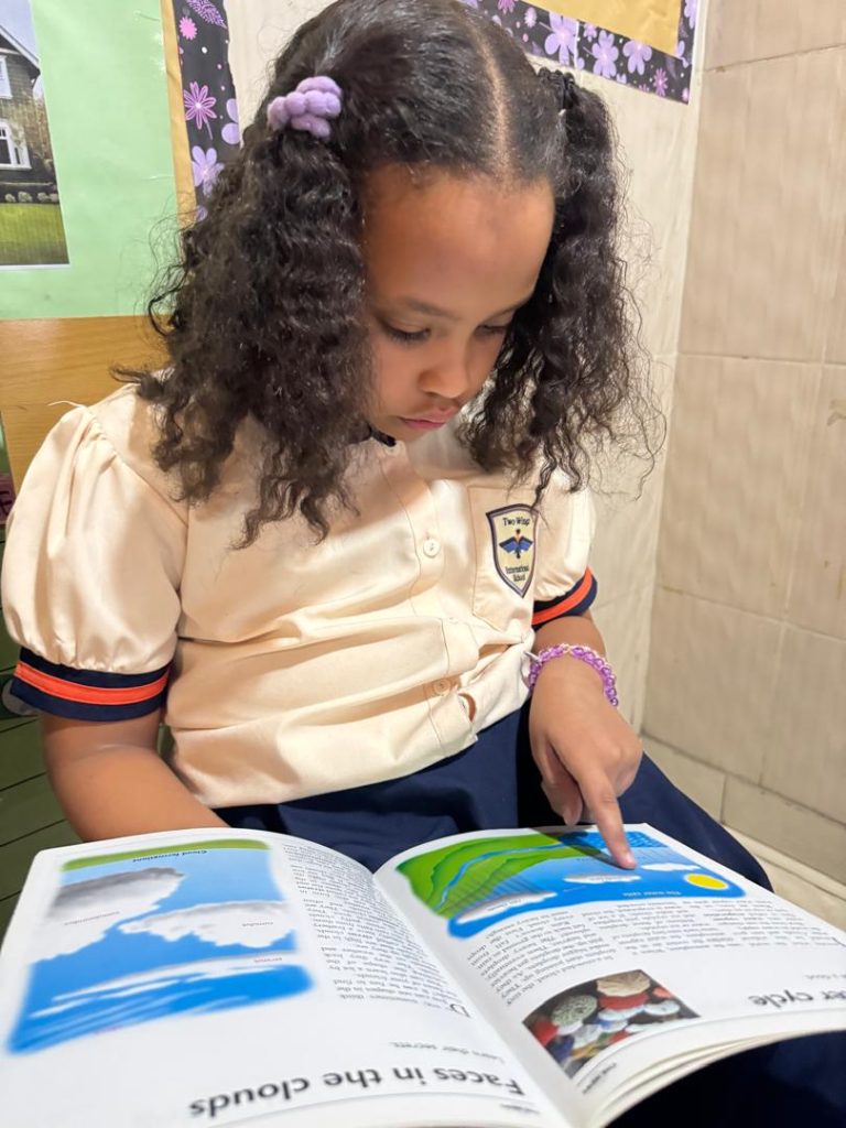 Focused Reader