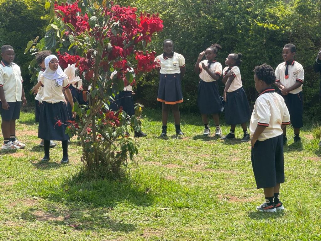 Garden Learning